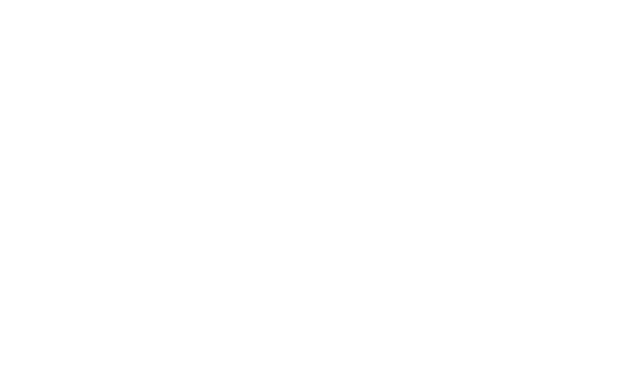 Logo GineSys